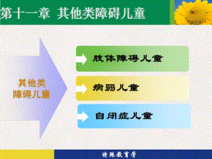 病弱儿童和自闭症儿童的教育学习环境课程教学策略与技术课件.pptx