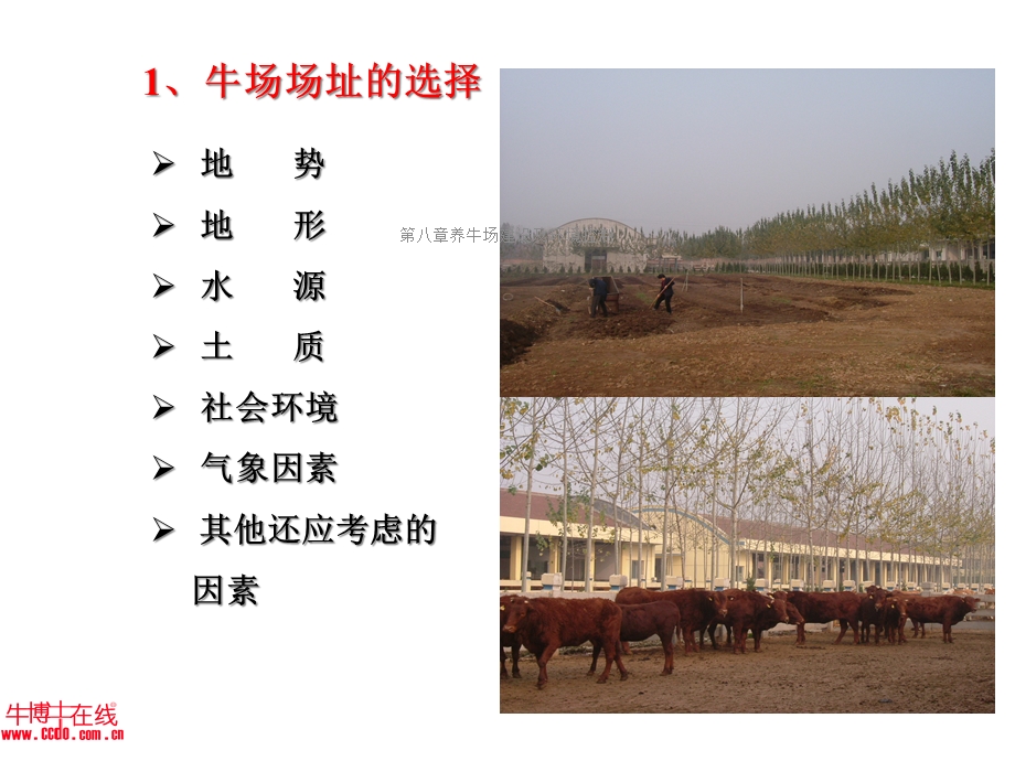 第八章养牛场建设及环境控制课件.ppt_第3页