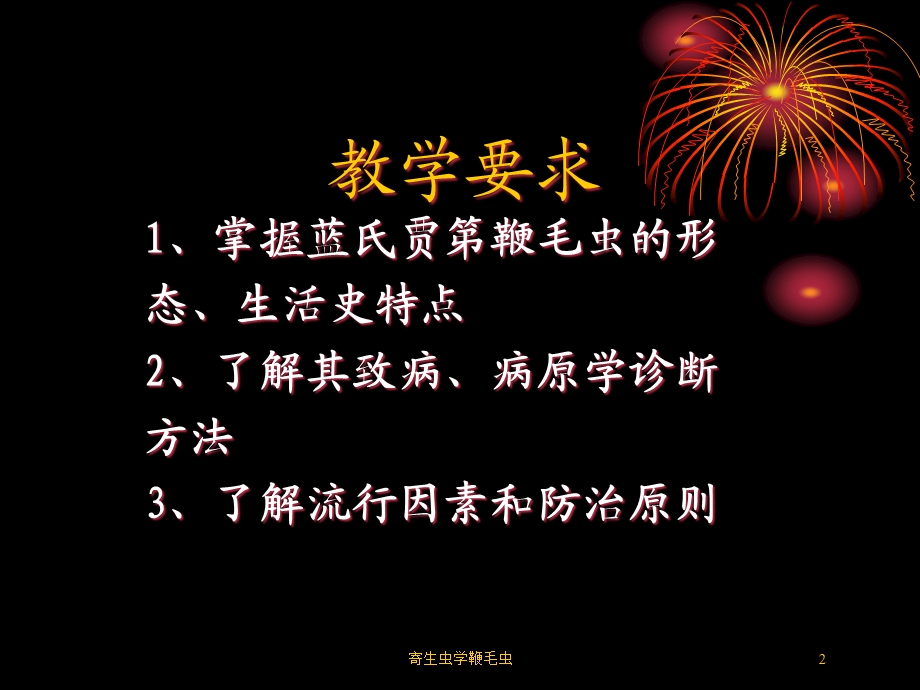 寄生虫学鞭毛虫培训课件.ppt_第2页