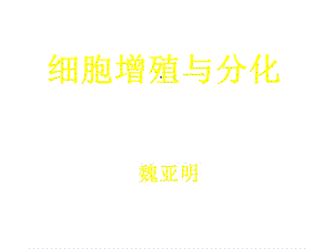 细胞增殖与分化课件.ppt