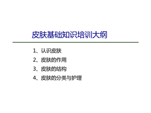 皮肤基础知识讲解课件.ppt