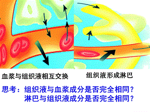 细胞外液成分和理化性质(实用)课件.ppt