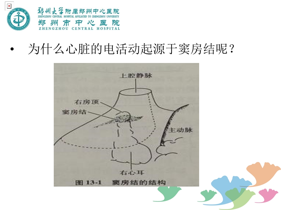 第二讲窦性心律课件.ppt_第3页