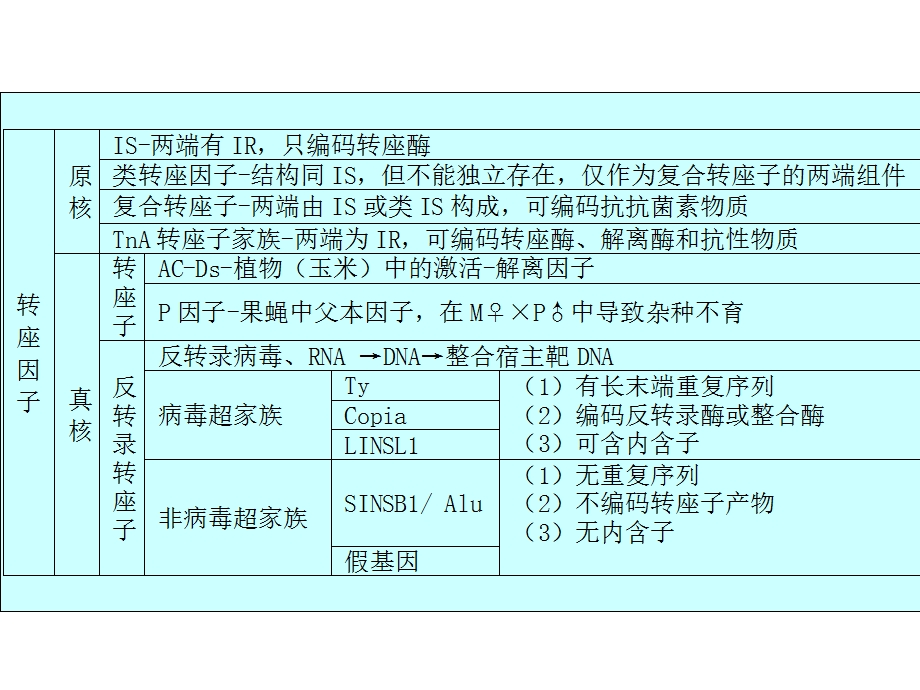 第二十三章重组和转座课件.ppt_第3页