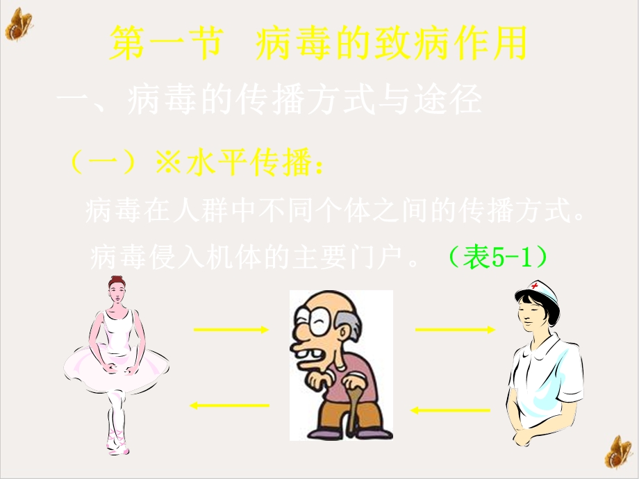 病毒的感染与免疫实用课件.ppt_第2页