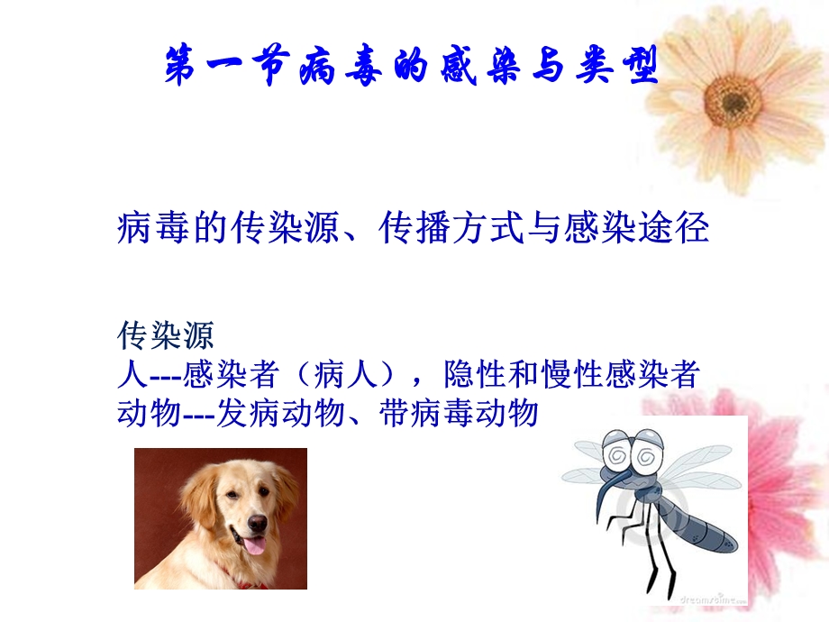 病毒的感染免疫诊断课件.ppt_第2页