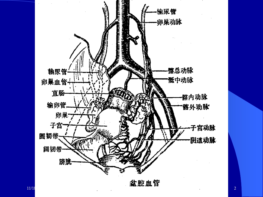 妇科肿瘤的放射治疗课件.ppt_第2页