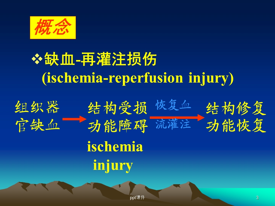 病理生理学缺血再灌注损伤必看课件.ppt_第3页