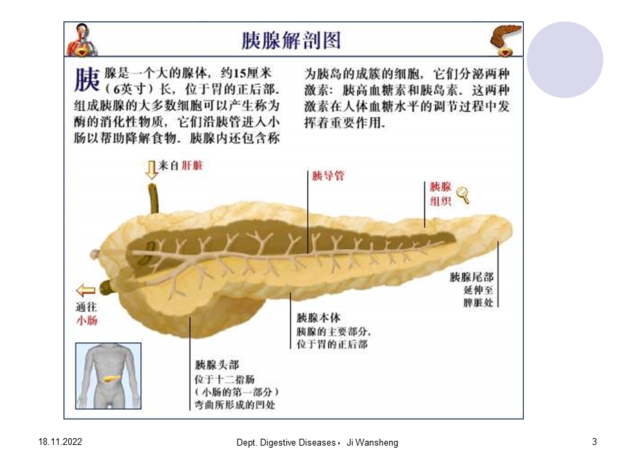 急性胰腺炎及妊娠课件.ppt_第3页