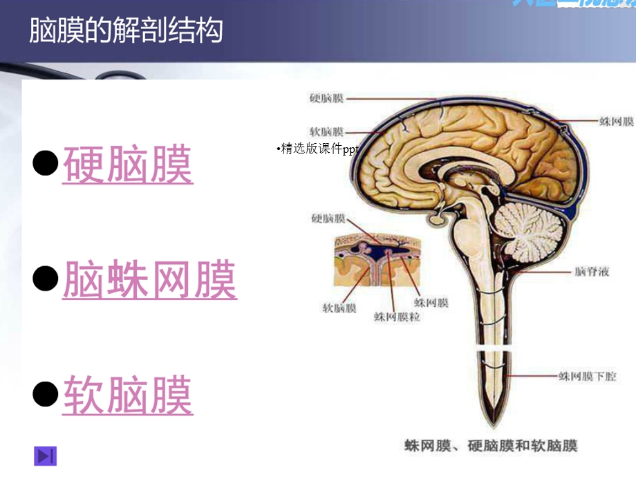 硬膜外及硬膜下血肿课件.ppt_第3页