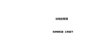 教科版小学科学新版三年级下册科学27《动物的繁殖》课件.ppt