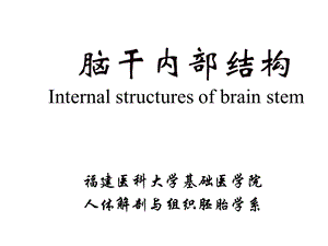 神经解剖学课件.ppt