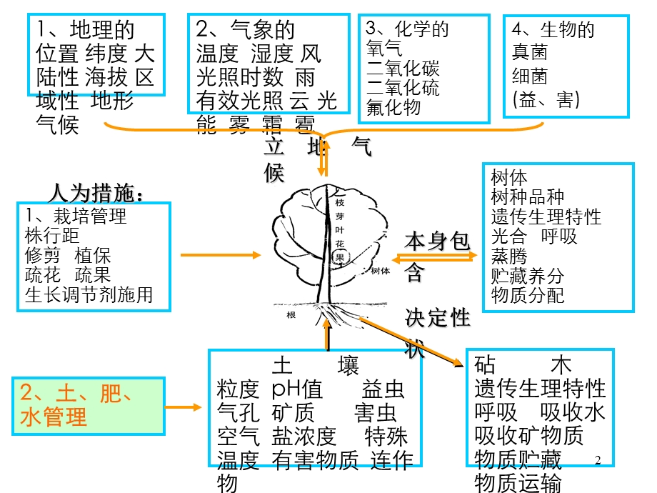 果园的田间管理课件.ppt_第2页