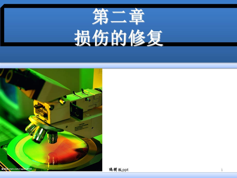 病理学损伤的修复医学课件.ppt_第1页