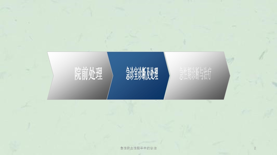 急性缺血性脑卒中的诊治课件.ppt_第2页