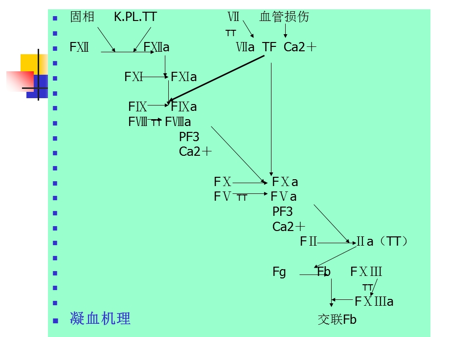 凝血因子异常性疾病及其检验ppt课件.ppt_第2页