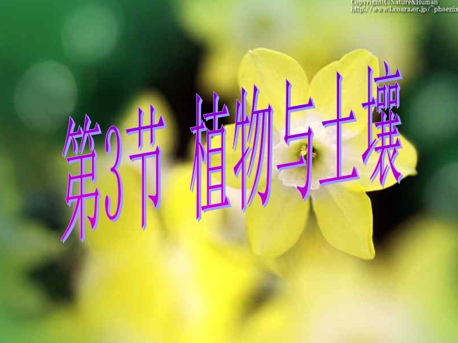 第3节植物与土壤浙教版课件.ppt_第1页