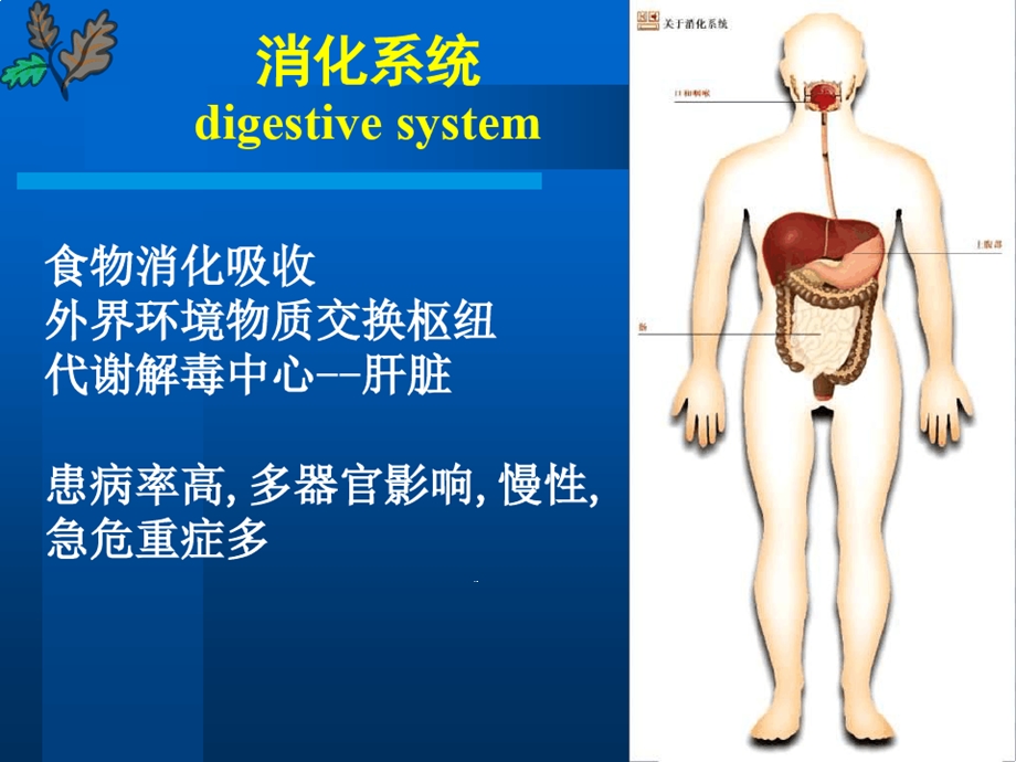 病理学七年制消化系统疾病wenzi课件.ppt_第2页