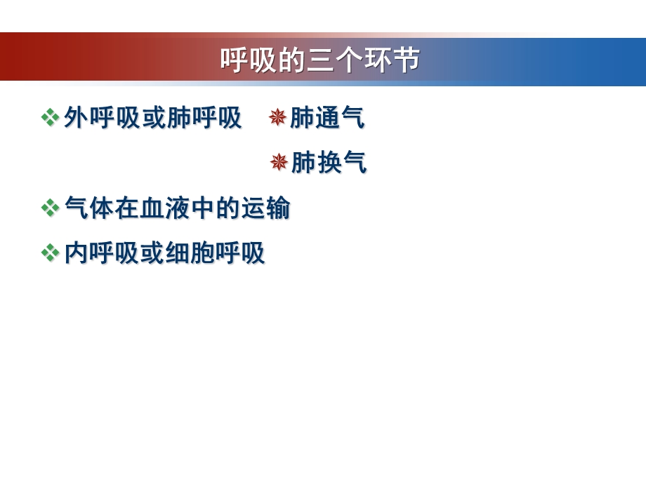 第七章呼吸系统的结构与功能课件.ppt_第2页