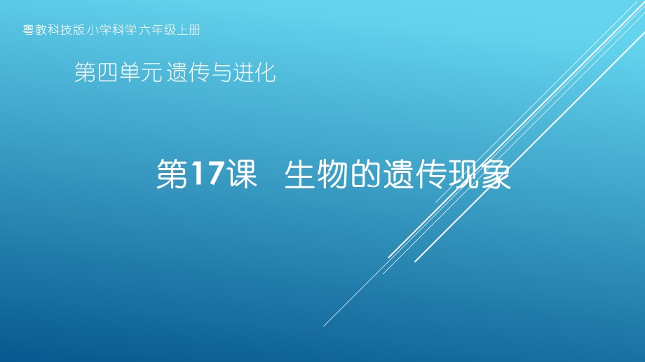 粤教版小学科学六年级上册第17课《生物的遗传现象》教学课件.pptx_第1页