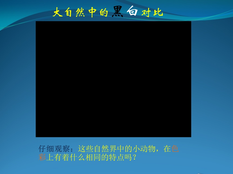 线描画中的黑白对比课件.ppt_第2页