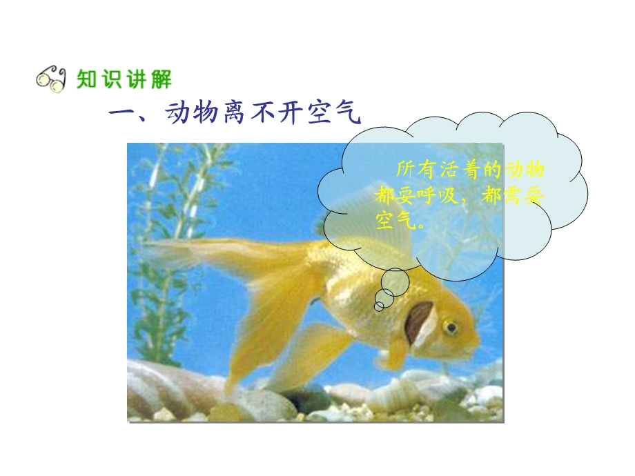 离不开的空气优秀课件.ppt_第3页