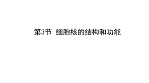 细胞核的结构和功能细胞的基本结构完整版课件.pptx