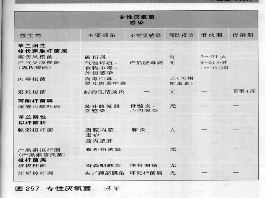 病原性真菌检验临床微生物学培训课件.ppt_第3页