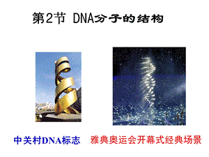 第二节DNA分子的结构课件.ppt