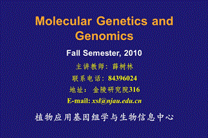 分子生物学(基因组、转录组、蛋白组)ppt课件.ppt