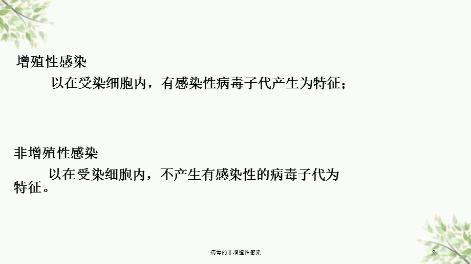 病毒的非增殖性感染课件.ppt_第2页