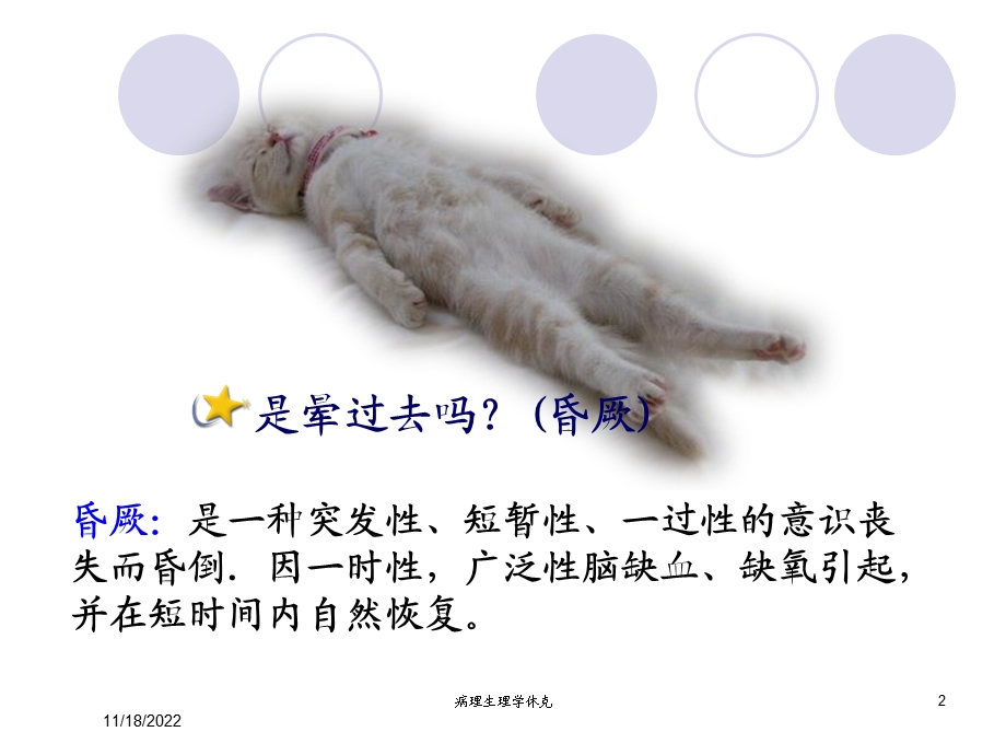 病理生理学休克培训课件.ppt_第2页