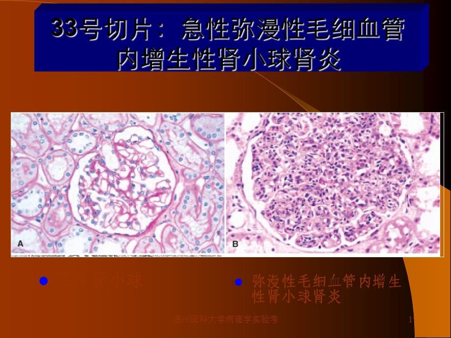 病理学实验考课件.ppt_第1页