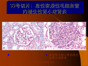 病理学实验考课件.ppt