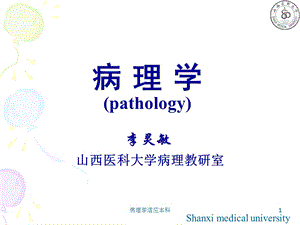 病理学适应本科课件.ppt