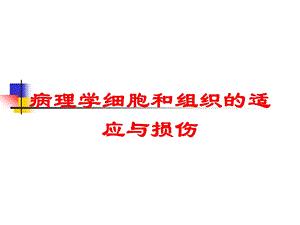 病理学细胞和组织的适应与损伤培训课件.ppt