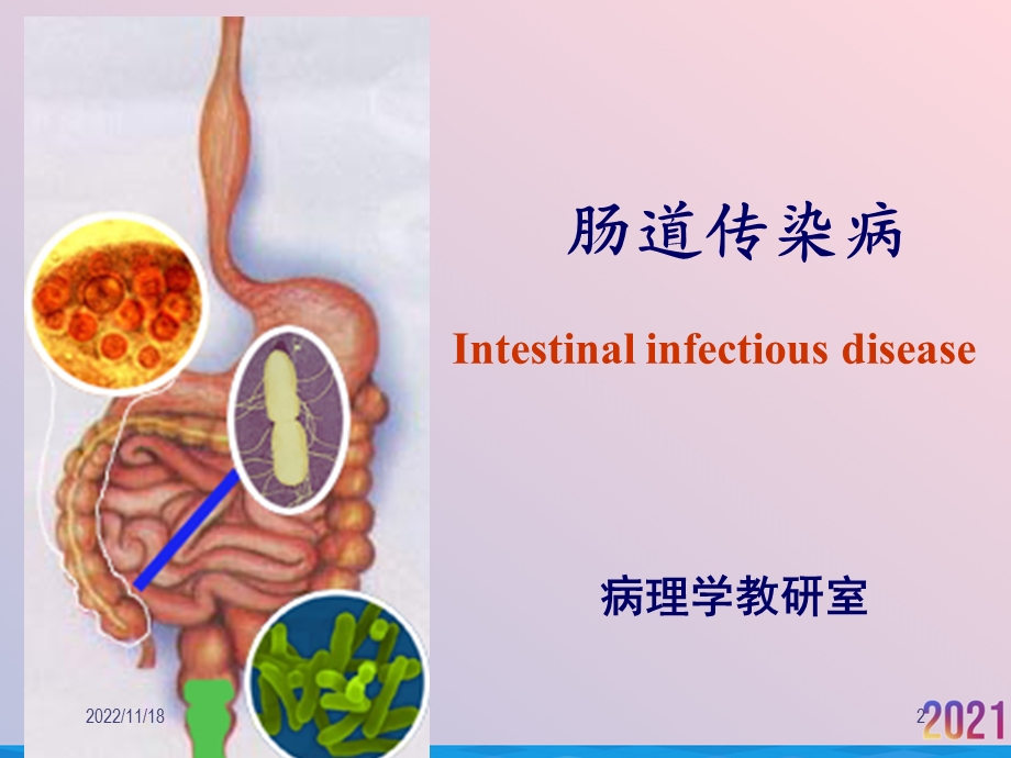 病理学肠道传染病课件.ppt_第2页