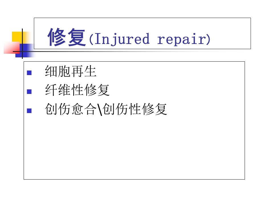 病理学第三章修复)课件.ppt_第3页