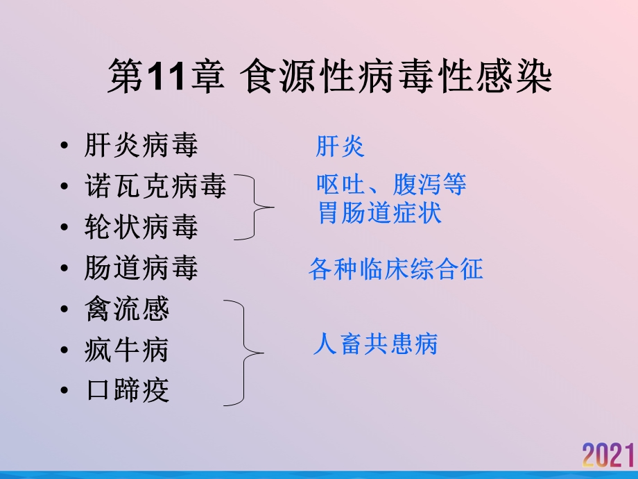 病毒性肝炎甲肝和戊肝课件.ppt_第2页