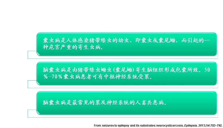 神经系统囊虫病的诊断和治疗课件.ppt_第2页