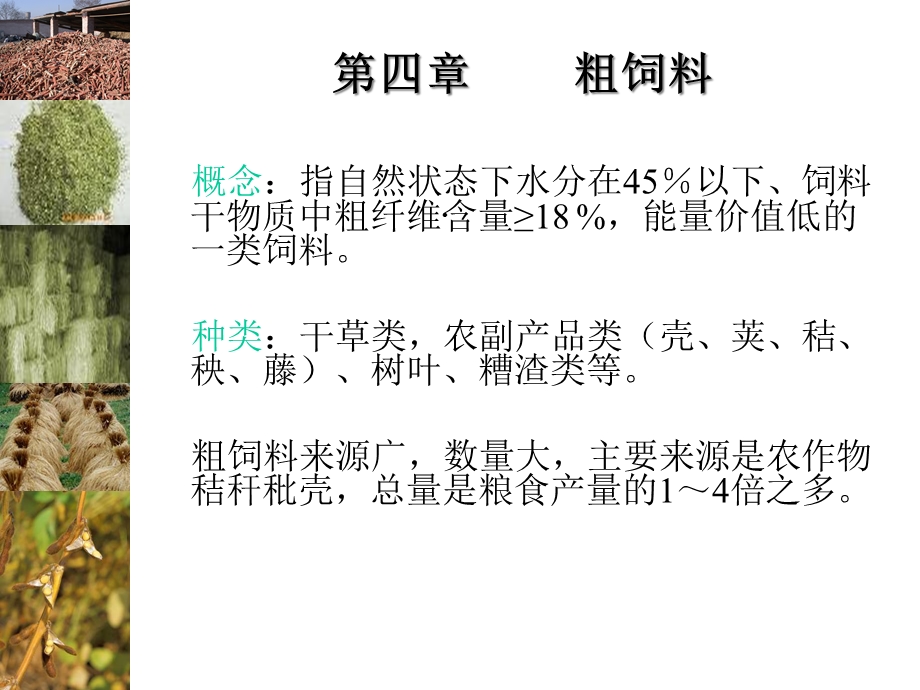 第四粗饲料精选课件.ppt_第1页