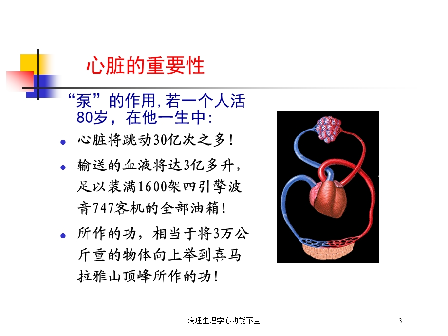 病理生理学心功能不全培训课件.ppt_第3页