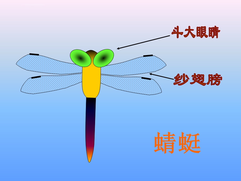 二年级美术ppt课件小学美术蜻蜓飞飞课件.ppt_第3页