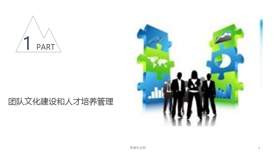 病理科述职培训课件.ppt_第3页