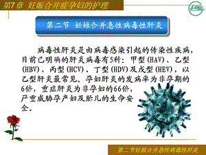 第二节妊娠合并病毒性肝炎患者的护理课件.ppt