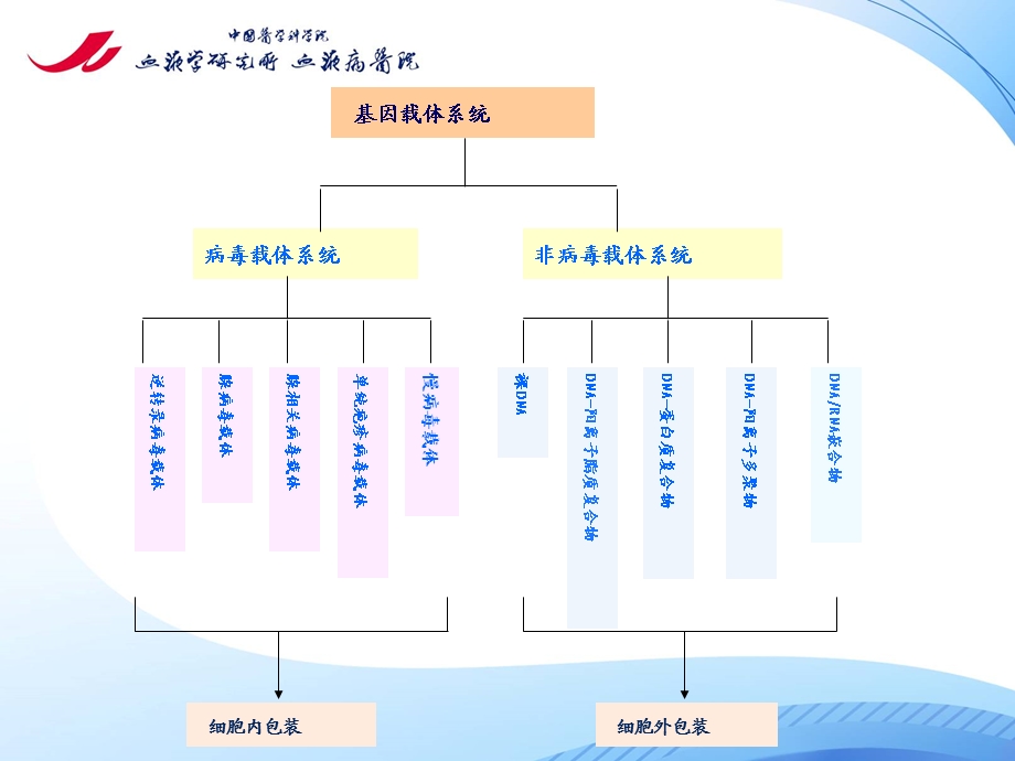 病毒包装与感染课件.ppt_第2页