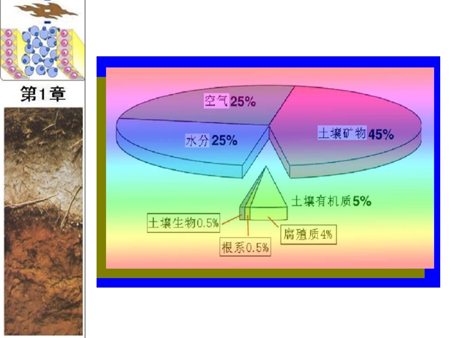 第二节土壤组成课件.ppt_第3页