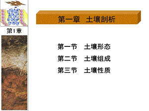 第二节土壤组成课件.ppt