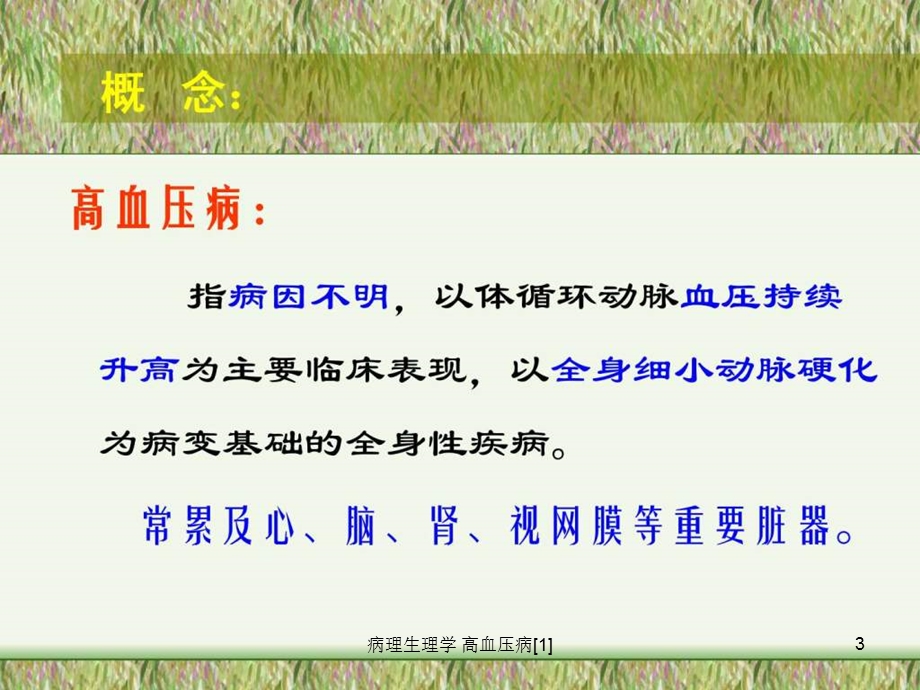 病理生理学高血压病[1]课件.ppt_第3页