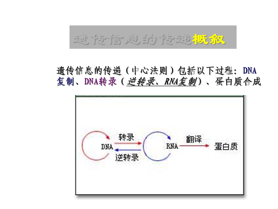 第二章孟德尔遗传规律课件.ppt_第3页